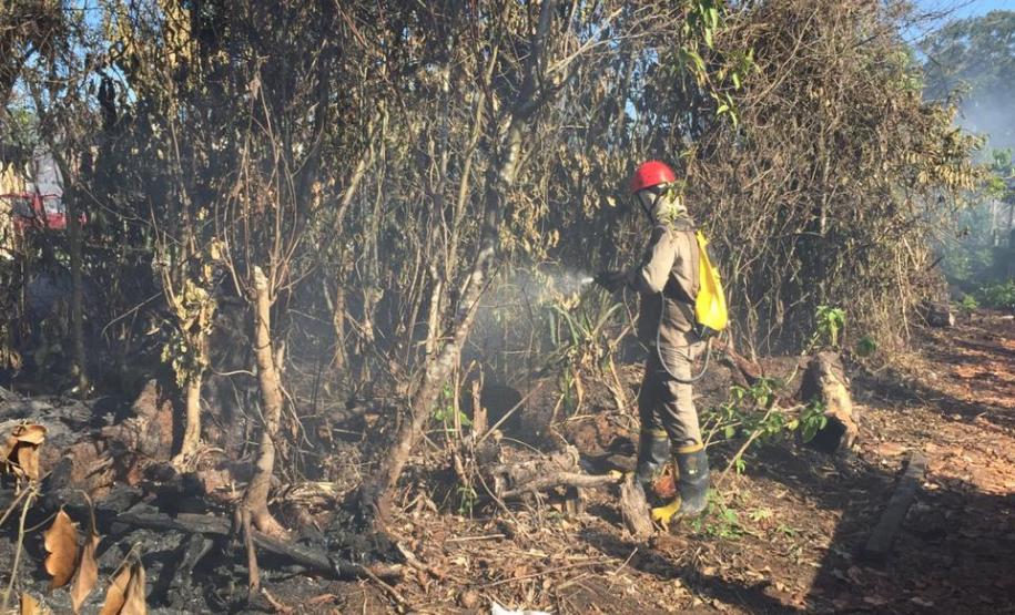 Em ação conjunta, helicóptero da PM e equipes do Corpo de Bombeiros combatem incêndio em Guaratuba (PR)