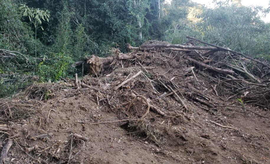 Mais de R$ 1,5 milhão em multa é aplicada por conta de desmate em área de regeneração de Imbituva (PR)