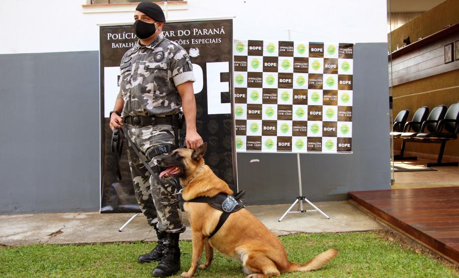 Cães de faro do BOPE se aposentam após 9 anos de atuação pelo BOPE; animais apreenderam mais de 2 toneladas de drogas