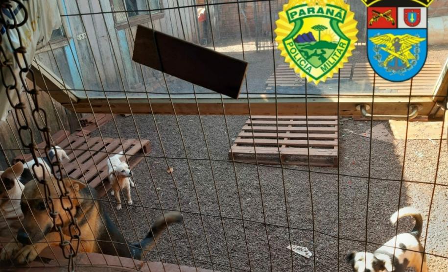 BPFron arrecada uma tonelada de ração por meio de troca por máscaras com a marca da unidade no Oeste do estado