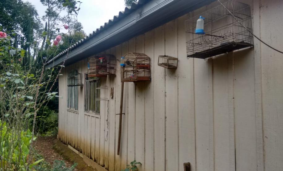 BPAmb-FV prende seis pessoas e apreende duas toneladas de carvão e três balões em ações distintas