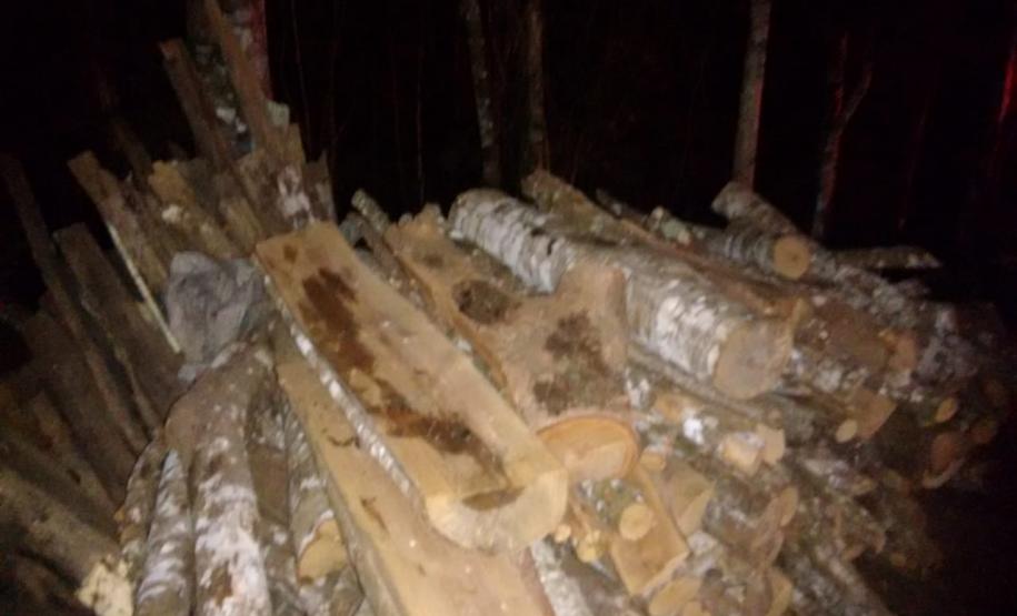 BPAmb-FV prende seis pessoas e apreende duas toneladas de carvão e três balões em ações distintas