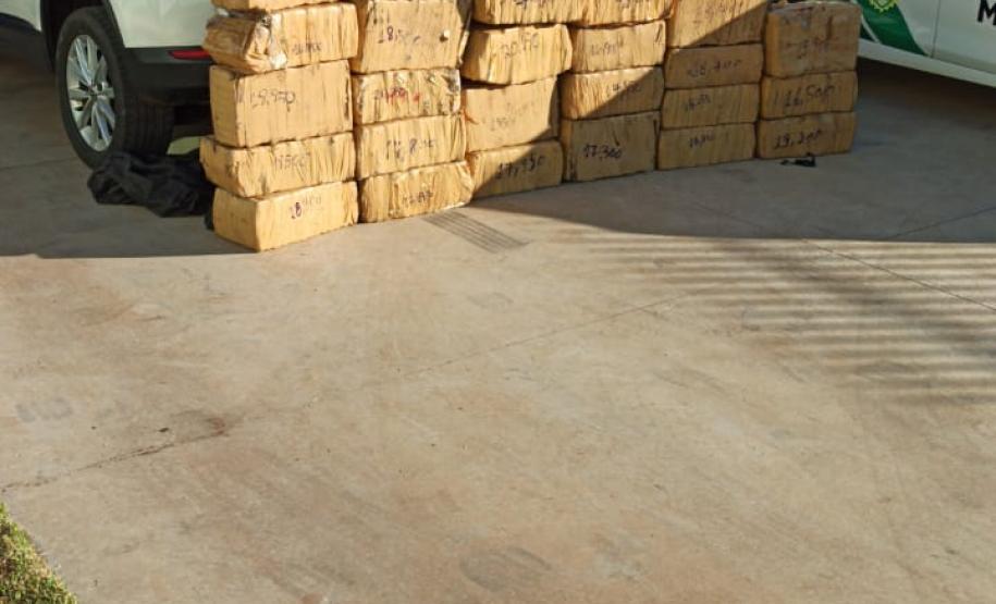 Denúncia leva policiais ambientais a apreender mais de meia tonelada de maconha em Umuarama