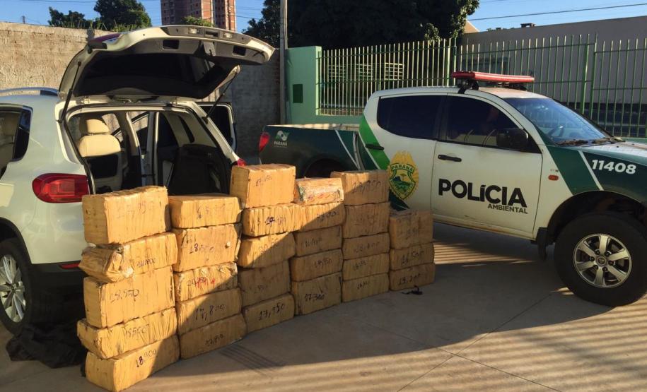 Denúncia leva policiais ambientais a apreender mais de meia tonelada de maconha em Umuarama