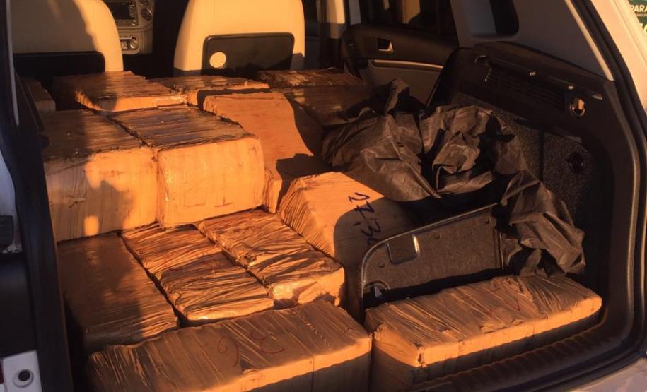 Denúncia leva policiais ambientais a apreender mais de meia tonelada de maconha em Umuarama