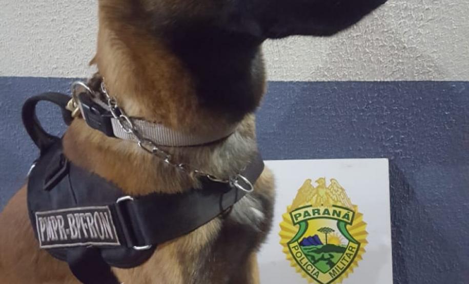 BPFron apreende 29 quilos de maconha, crack e materiais contrabandeados no Oeste do estado