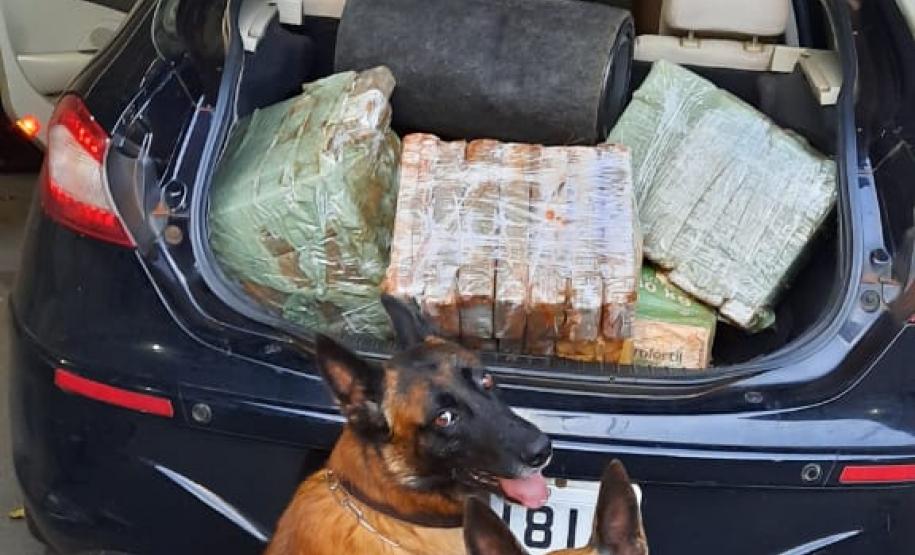 BPFron apreende mais de 70 quilos de maconha e três pessoas acabam presas no oeste do estado