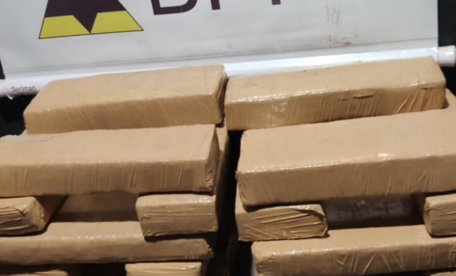Durante feriado de Corpus Christi, BPRv retira de circulação mais de R$ 500 mil em maconha no Paraná