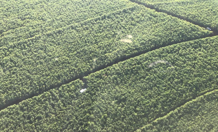 Poucas horas após o crime, helicóptero da PM localiza veículo furtado em Londrina, norte do Paraná