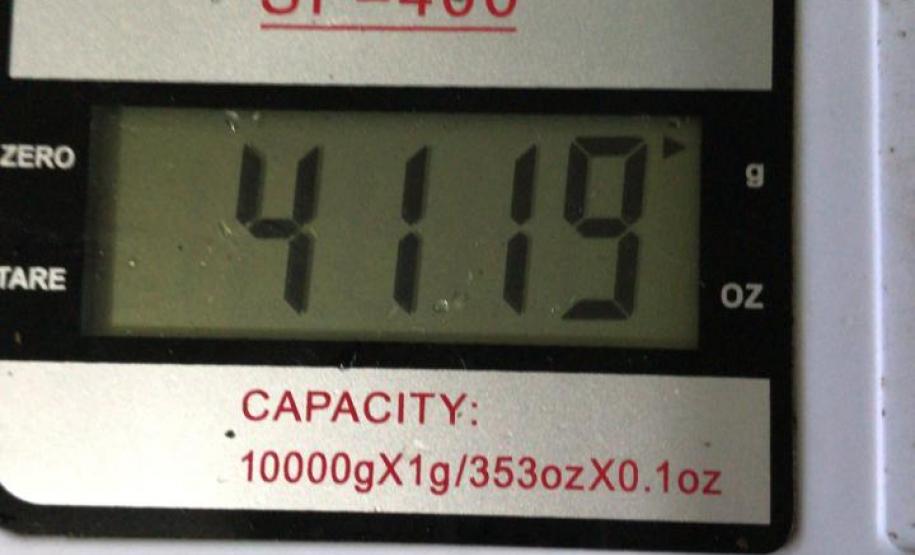 Policiais militares são acionados para atender briga de casal, mas encontra quatro quilos de maconha e R$ 10 mil em São José dos Pinhais