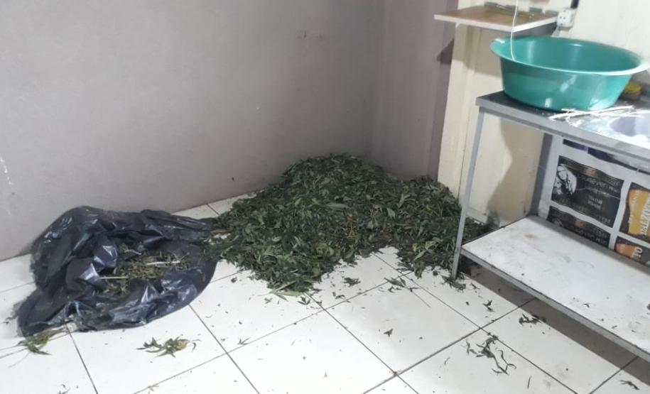 Laboratório para produção de maconha é descoberto pelo BOPE em chácara na RMC; cerca de 500 vasos com a planta são apreendidos