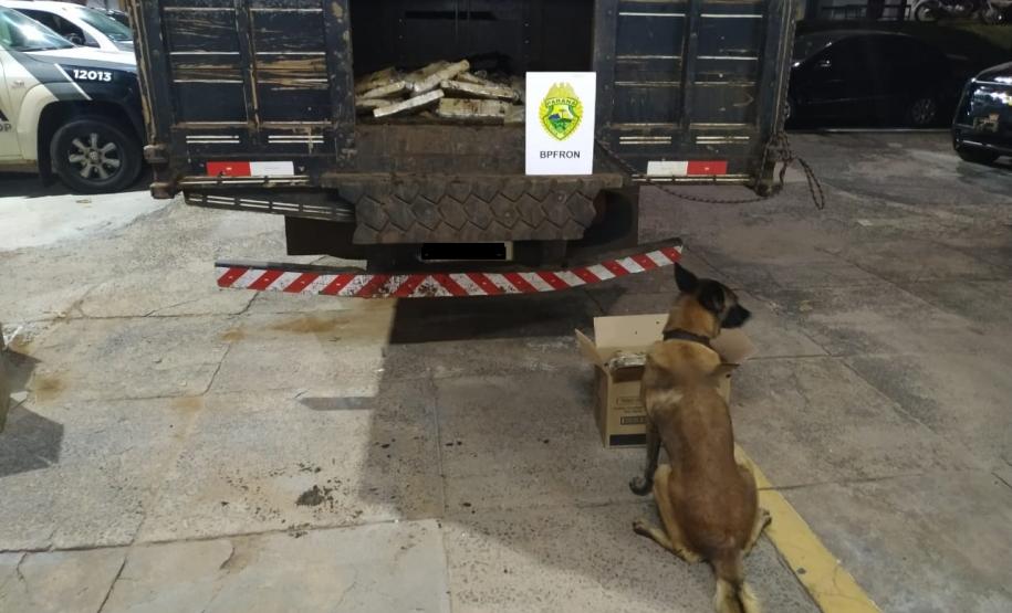BPFron encontra mais de meia tonelada de maconha em carga de esterco no Noroeste do estado