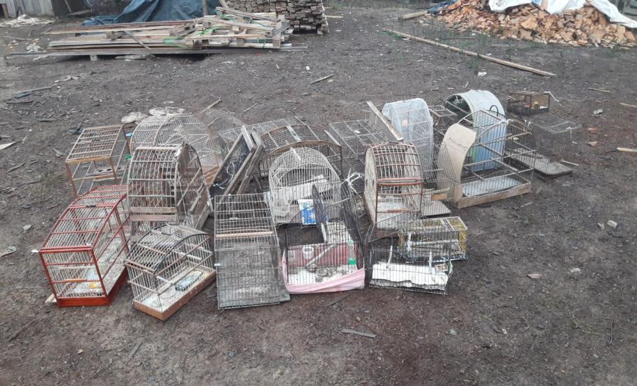 Em cumprimento de mandados, PM prende duas pessoas e apreende armas e aves silvestres nos Campos Gerais