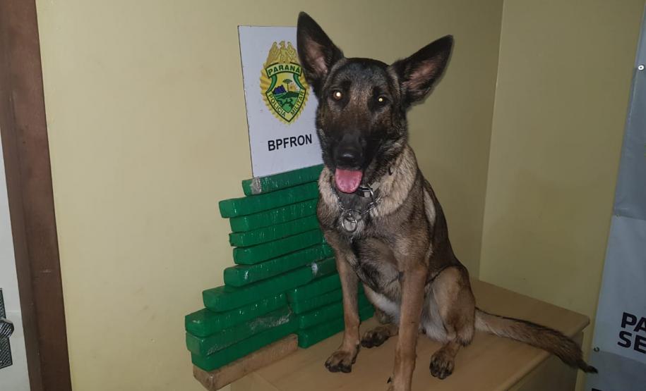 Mais de 25 quilos de maconha são apreendidos pelo BPFron no Oeste do estado