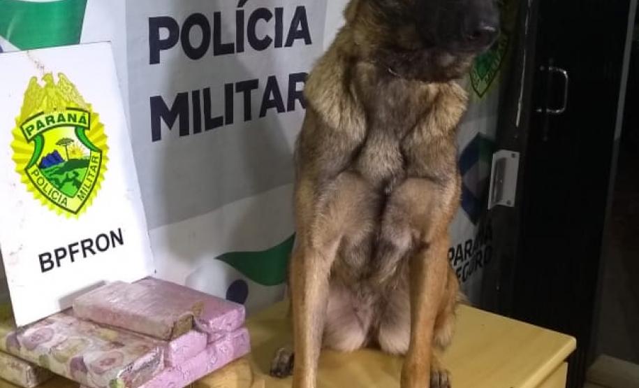 Mais de 14 quilos de maconha são apreendidos pelo BPFron durante a Operação Metrópolis