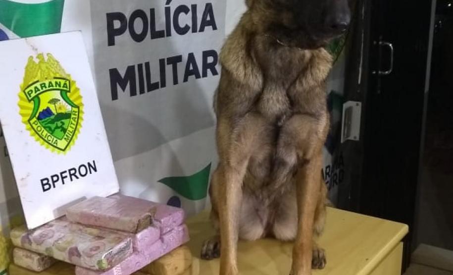 Operação Metrópolis retira mais de 2,5 tonelada de drogas no Oeste do estado; 40 pessoas acabaram presas