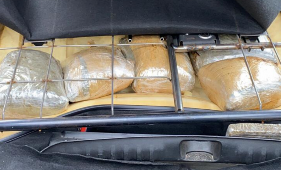 PRE apreende 20 quilos de skunk e 150 quilos de maconha o Interior do estado durante o fim de semana