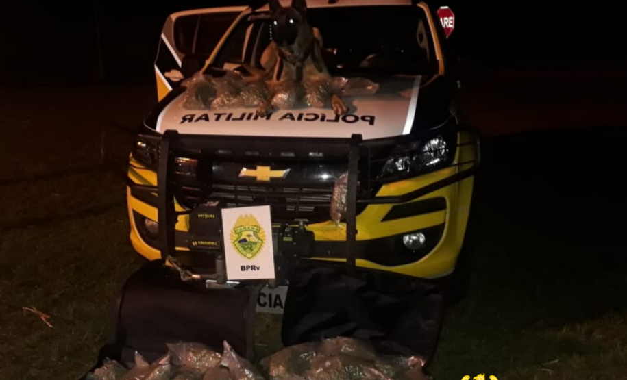 No Norte do estado, cão de faro do BPRv localiza mais de 19 quilos de maconha hidropônica