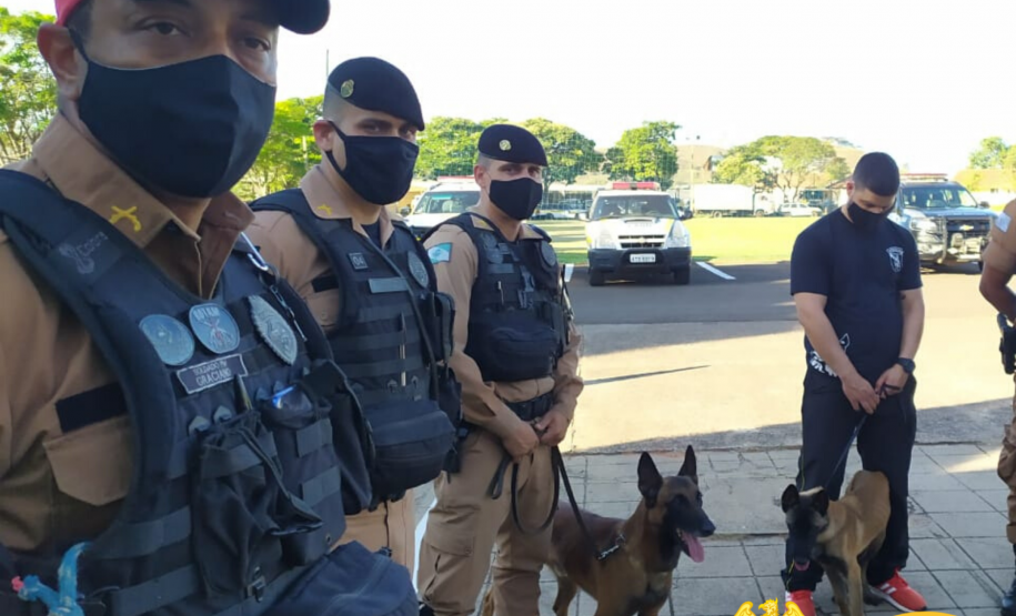 BPRv aplica nivelamento para Canil em Jacarezinho, no Norte do estado