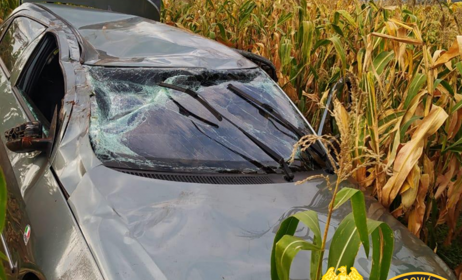 Cerca de 120 quilos de maconha são apreendidos pela Polícia Rodoviária Estadual no Oeste do estado