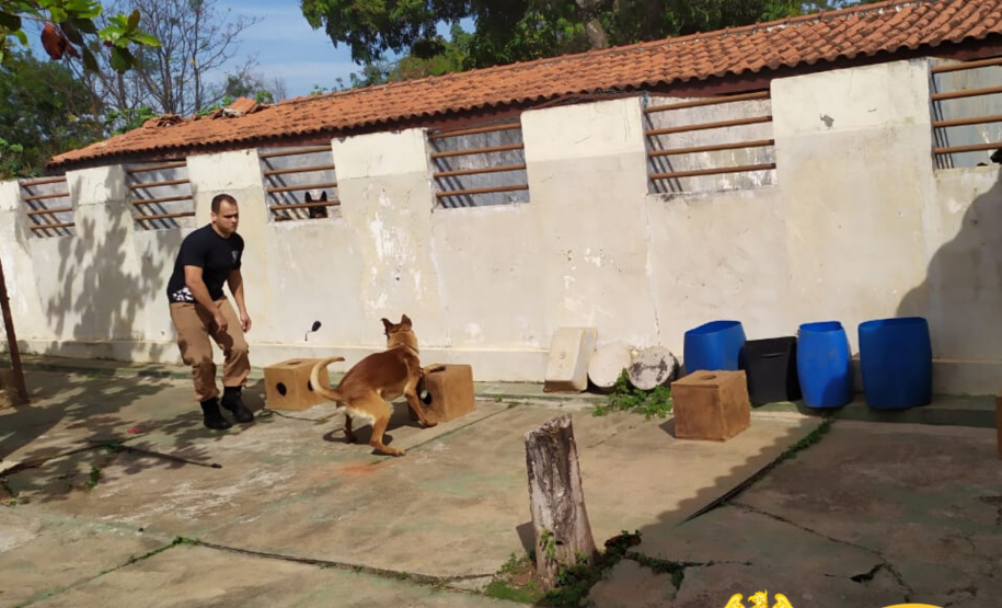 BPRv aplica nivelamento para Canil em Jacarezinho, no Norte do estado