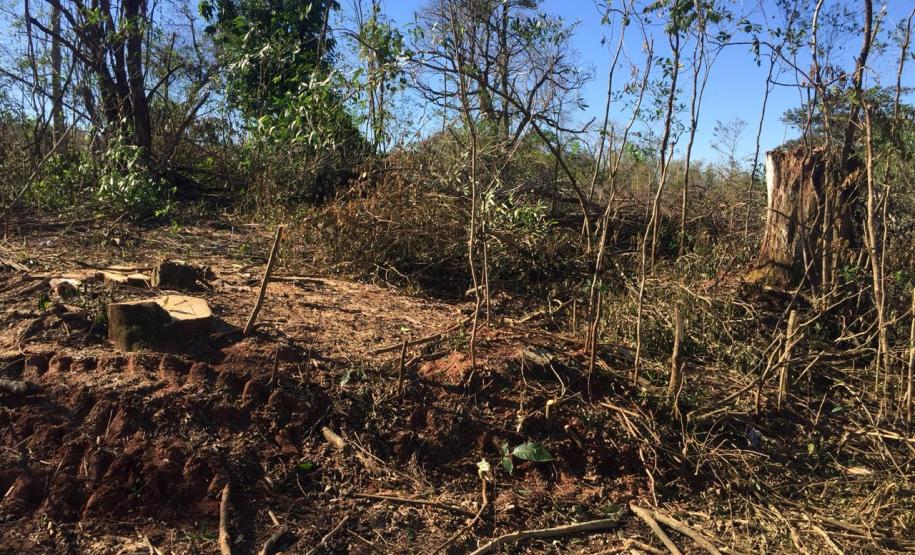 Polícia Ambiental flagra desmatamento e aplica R$ 9,7 mil em multas em Altônia (PR)