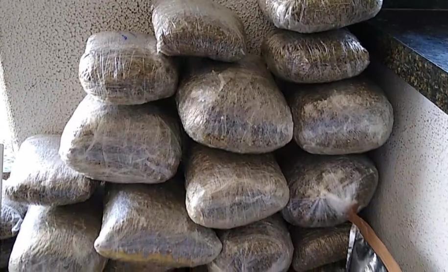 No Norte do estado, PM apreende mais de 11 quilos de drogas e uma prensa em situações distintas