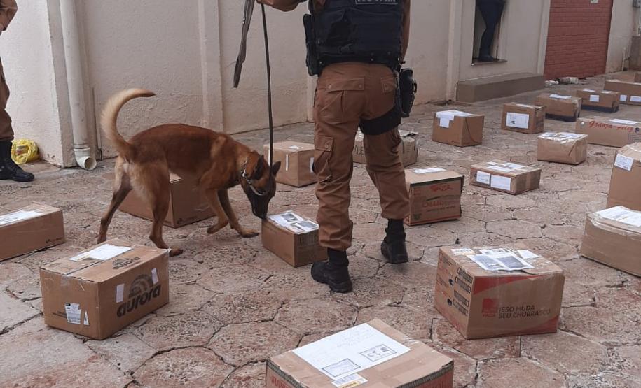 PM e Depen apreendem maconha, cocaína e LSD que seriam entregues a preso de Francisco Beltrão