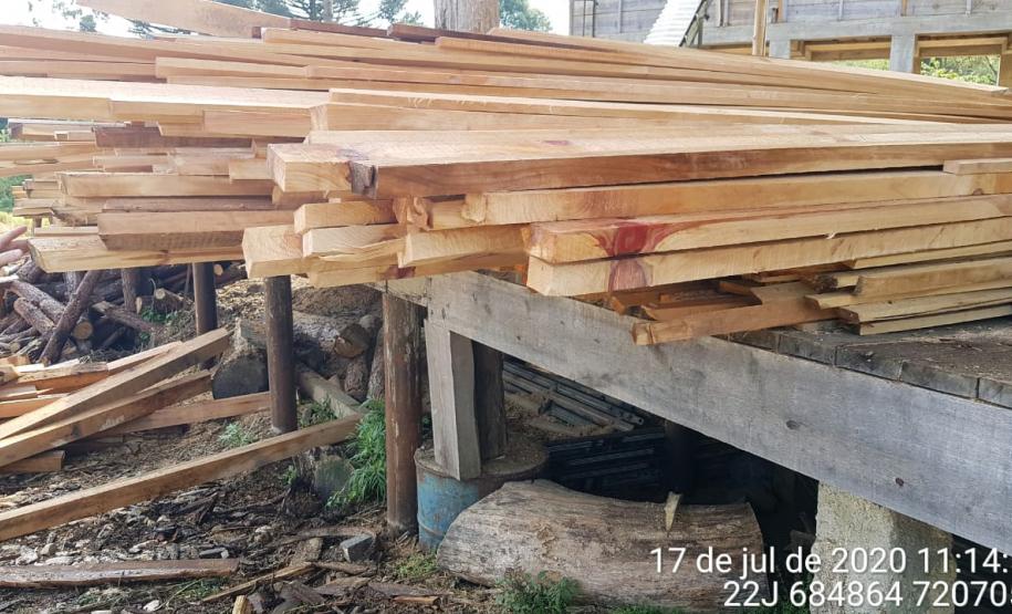 Na RMC e no Interior, Batalhão Ambiental flagra desmatamento ilegal