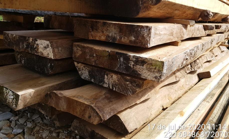 Na RMC e no Interior, Batalhão Ambiental flagra desmatamento ilegal