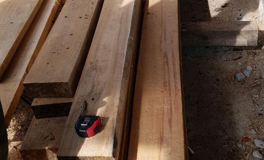 Na RMC e no Interior, Batalhão Ambiental flagra desmatamento ilegal