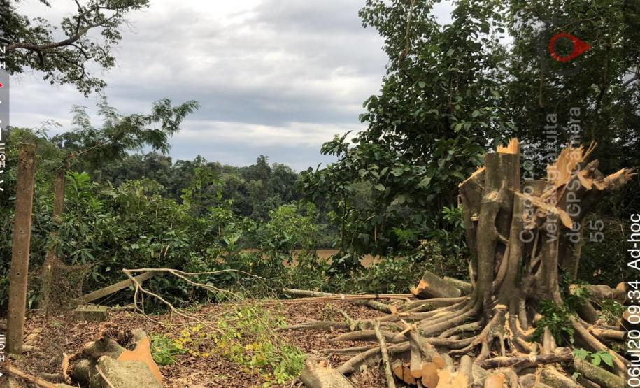 Na RMC e no Interior, Batalhão Ambiental flagra desmatamento ilegal