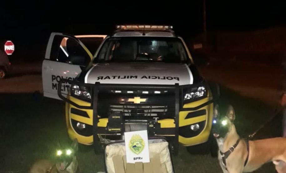 Em seis meses, cães de faro da PM apreendem mais de 38 toneladas de maconha no Paraná