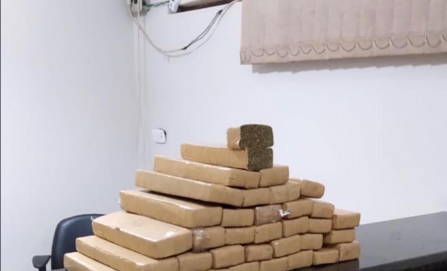 Em seis meses, cães de faro da PM apreendem mais de 38 toneladas de maconha no Paraná