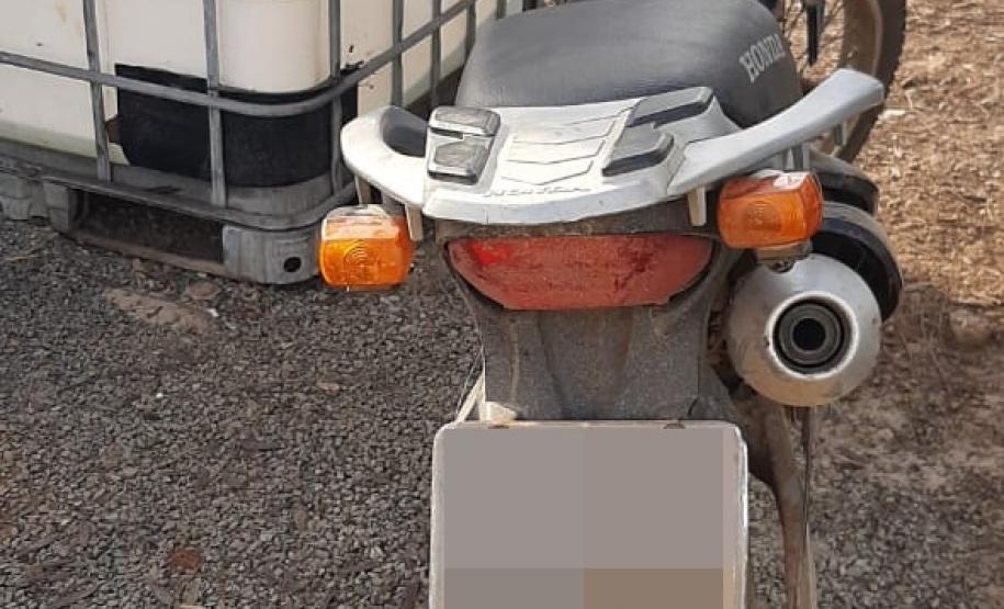 Durante busca por moto furtada, PM encontra plantação de 62 mudas de maconha em Reserva, nos Campos Gerais
