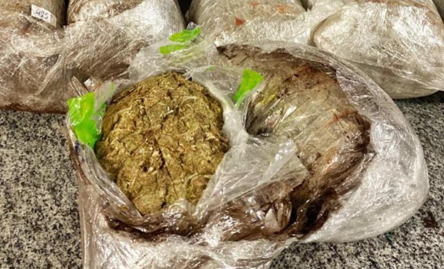 No Noroeste do estado, PM encontra 14 pacotes de Skunk com adolescente em ônibus de viagem