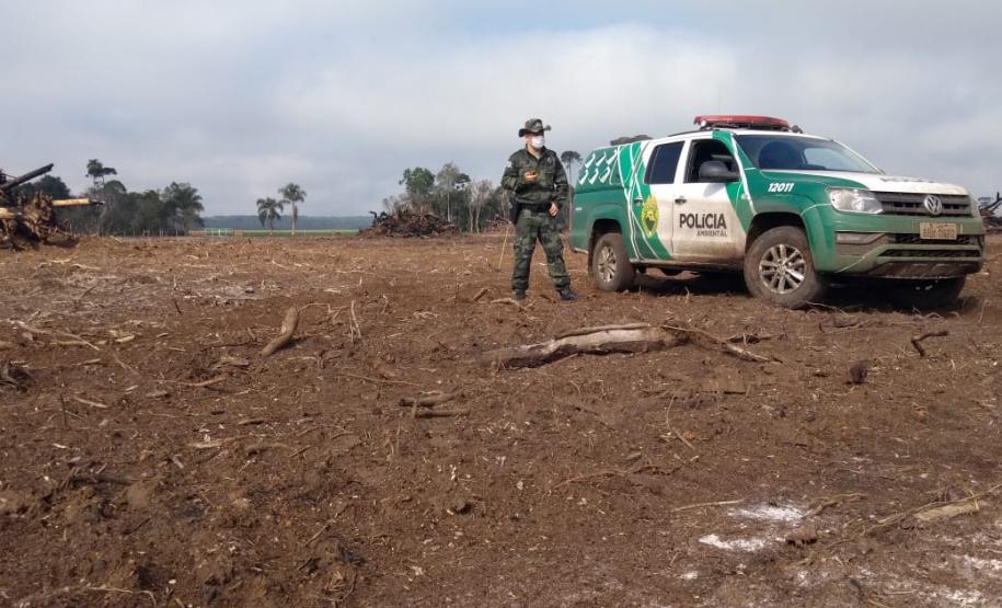 Polícia Ambiental aplica mais de R$ 243 mil em multas por destruição de vegetação nativa no Sudeste do estado