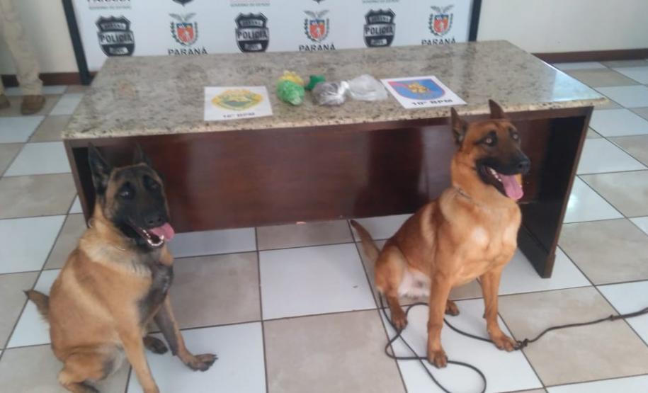 Cerca de R$ 80 mil em drogas é apreendida pela PM em Apucarana, no Norte do estado