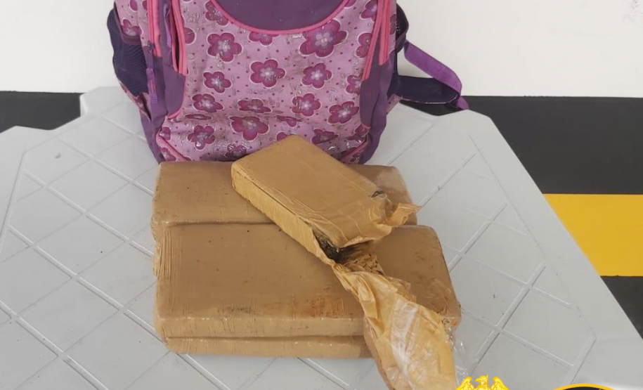 Apreensões de droga do BPRv no Litoral e no Oeste do estado causam prejuízo de R$ 250 mil ao tráfico