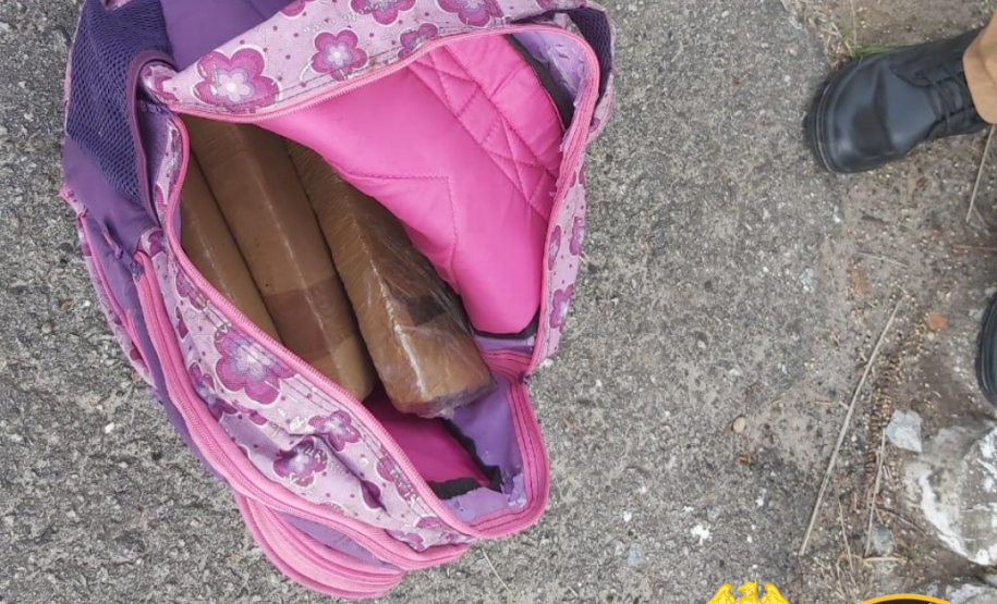 Apreensões de droga do BPRv no Litoral e no Oeste do estado causam prejuízo de R$ 250 mil ao tráfico