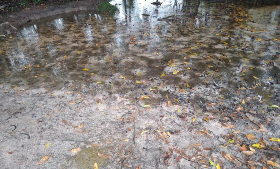 BPAmb-FV apreende carro blindado e carregado com cigarros, 69 galos e aplica multa no Noroeste e nos Campos Gerais