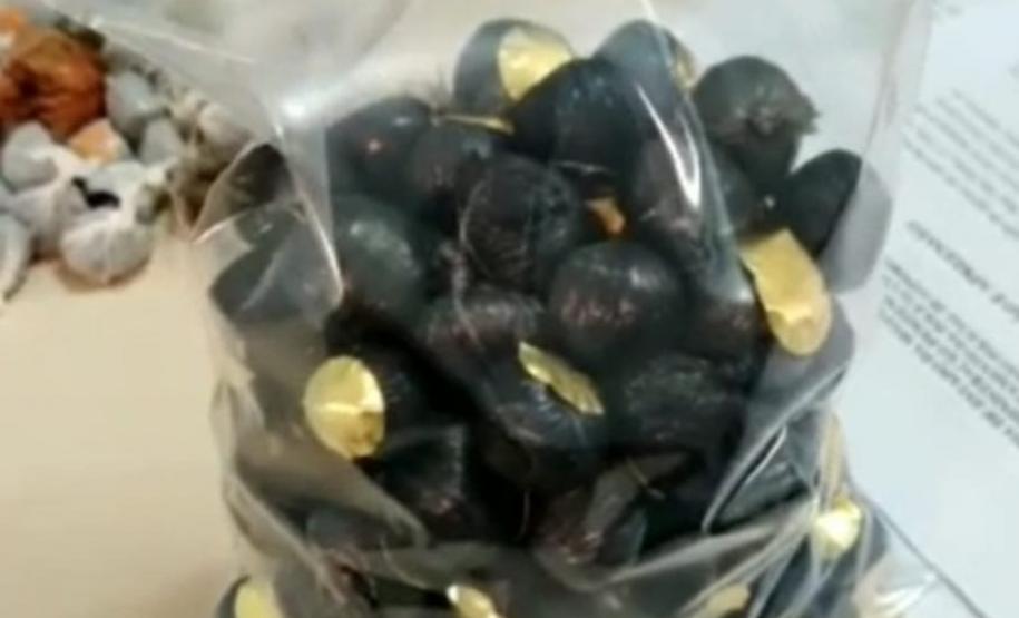 Em Londrina (PR), PM apreende drogas, dinheiro e evita que ilícitos sejam jogados na PEL I em situações distintas