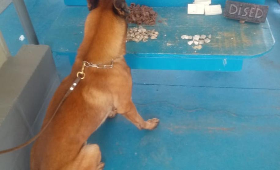 Depen e PM apreendem droga em encomendas enviadas a preso por Sedex