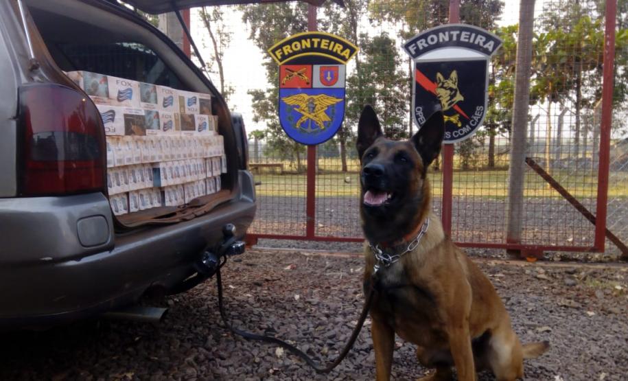 BPFron apreende quase 400 quilos de maconha, cigarros e vinhos contrabandeados no Oeste do estado