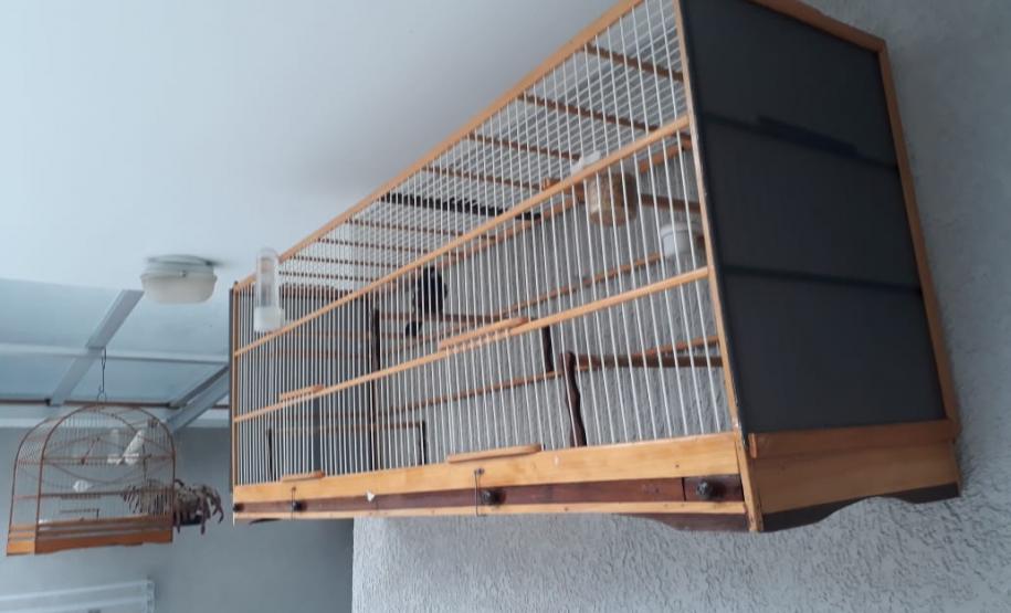 Com Operação Asas Livres, Polícia Ambiental resgata 391 aves silvestres e aplica R$ 390,5 mil em multas no Paraná