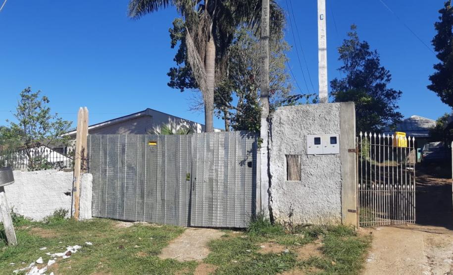 Ação integrada entre Batalhão Ambiental e IAT resgata onça-parda encontrada em área residencial de São José dos Pinhais, na RMC