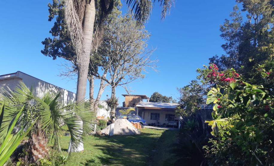 Ação integrada entre Batalhão Ambiental e IAT resgata onça-parda encontrada em área residencial de São José dos Pinhais, na RMC