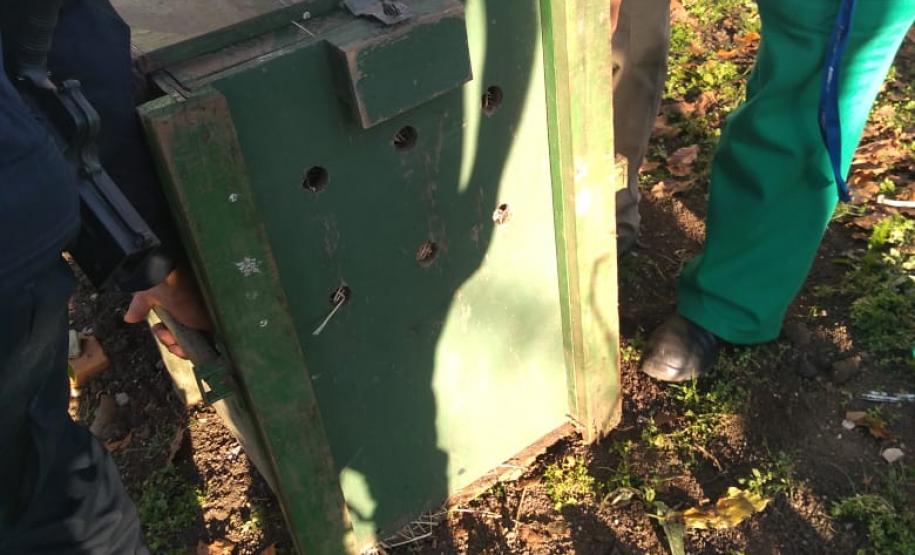 Ação integrada entre Batalhão Ambiental e IAT resgata onça-parda encontrada em área residencial de São José dos Pinhais, na RMC