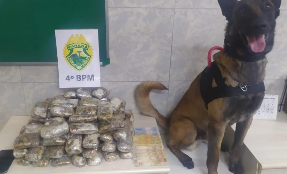 Em Maringá (PR), PM apreende quase 12 quilos de haxixe e 1,5 mil comprimidos de ecstasy