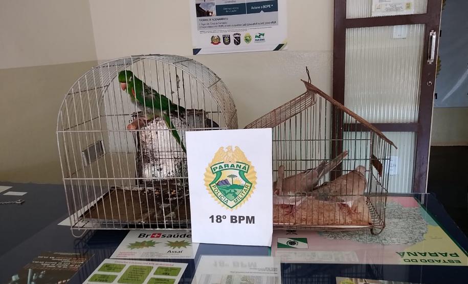 No Norte do estado, PM prende dois homens e apreende um revólver e três aves após denúncia